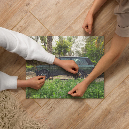 Jigsaw Puzzle