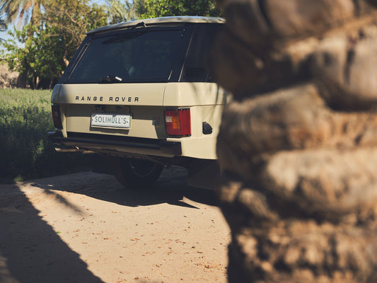 1981 Sahara Dust - # 50